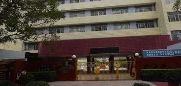 东方中学最新爆料消息,揭秘校园风云背后的故事